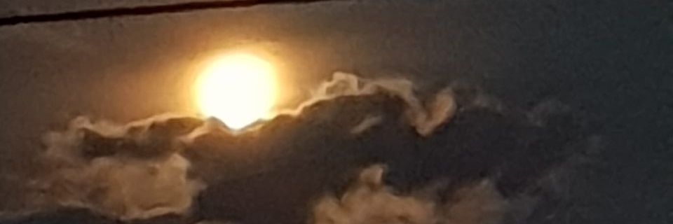 batch66's profile banner image
