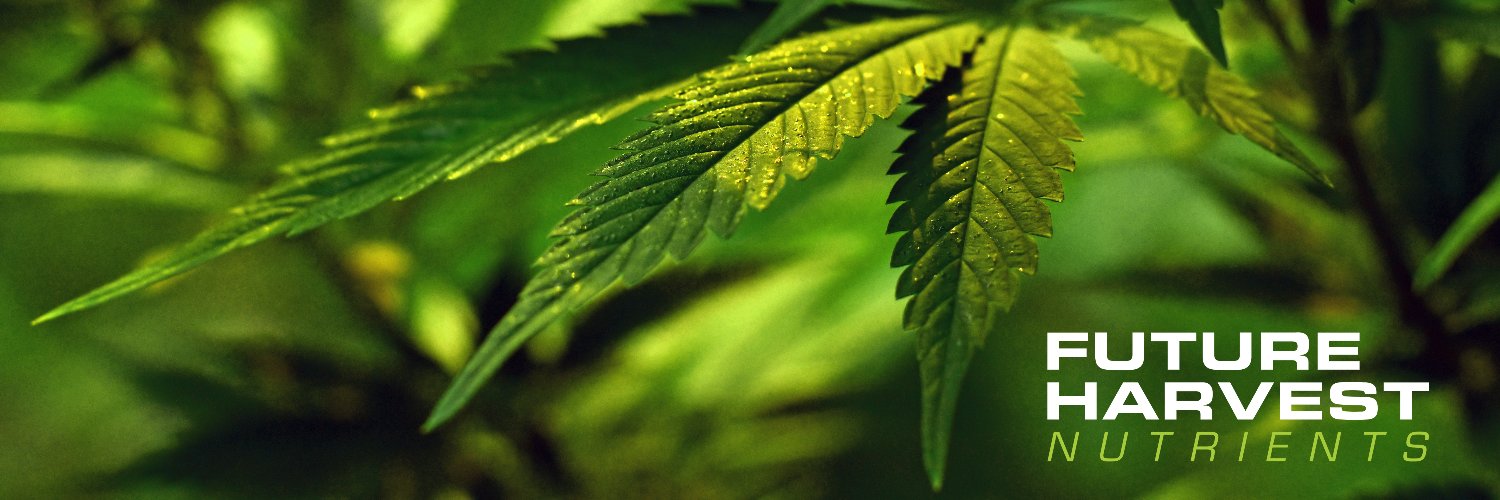 Future Harvest Development banner