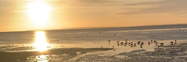 HelsAnnaGreta Profile Banner