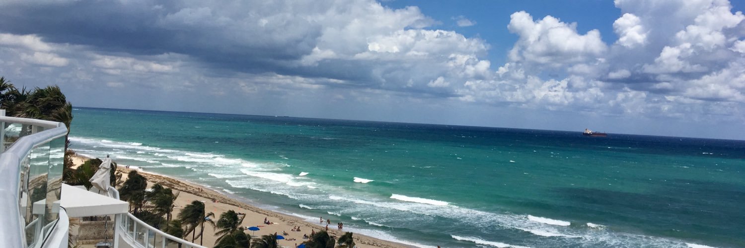 laurenlibrizzi's profile banner image