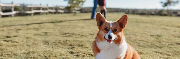 TaraJohnson94 Profile Banner