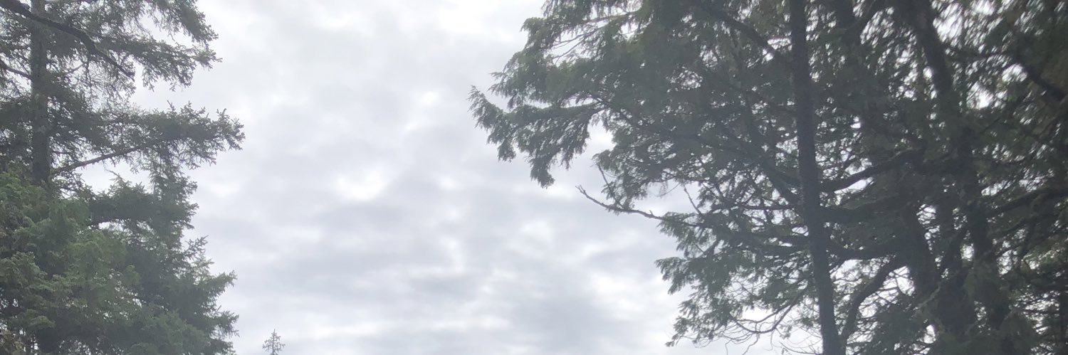 jjunglekat's profile banner image