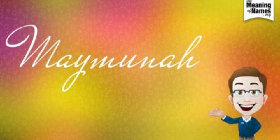 Maynahthewriter's profile banner image