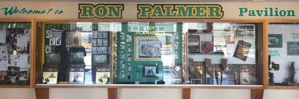 LBPolyHoops Profile Banner