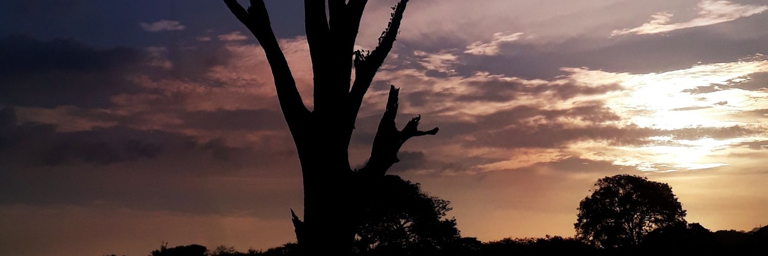 GOOSEBUMOS's profile banner image