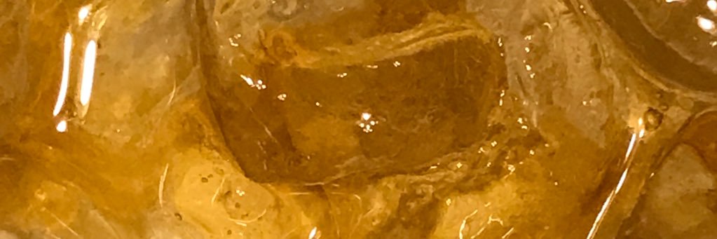 TheMericaBird's profile banner image