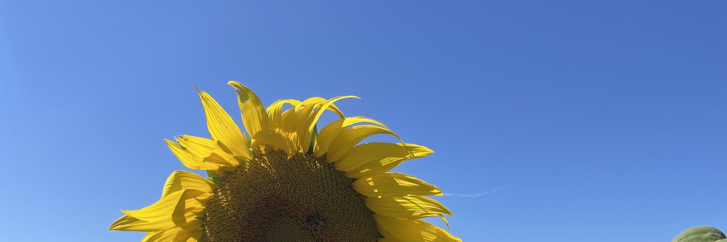 Du4Liv's profile banner image