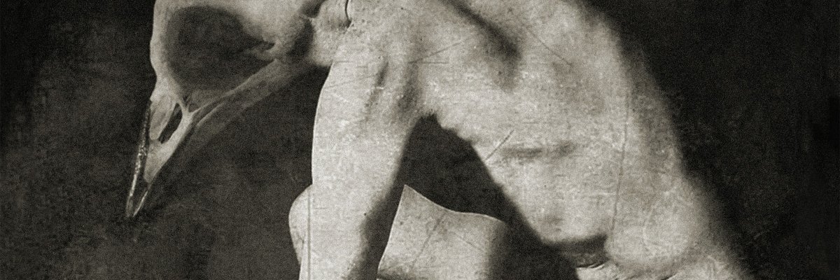 HeliumHorseFly's profile banner image