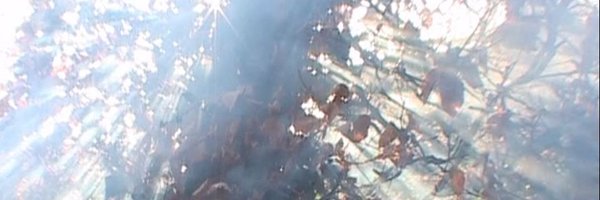 EEZYHEAD Profile Banner