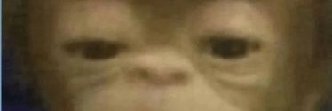 serrch_os's profile banner image