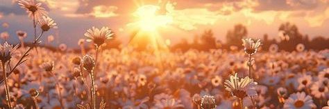 agos099_'s profile banner image
