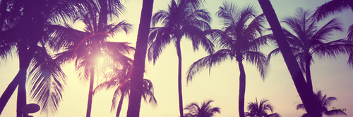rebecacm's profile banner image