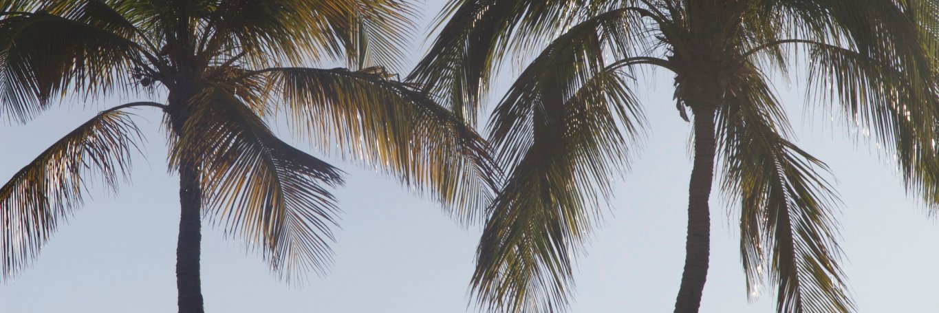 dthib16's profile banner image