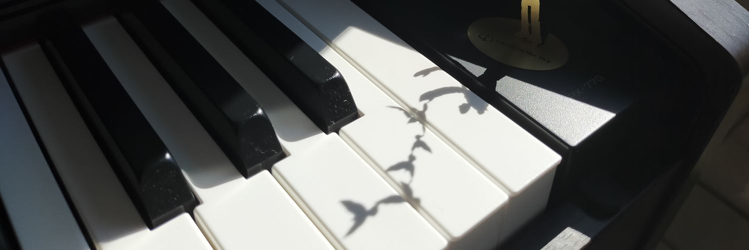 no5_1018's profile banner image