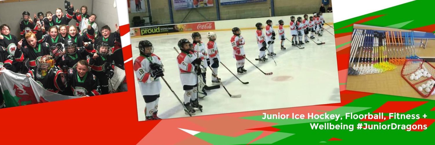 DeesideDragonsJIHC banner