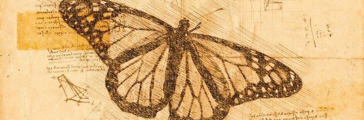 linoviolet's profile banner image
