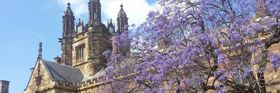 Michael Sevel banner