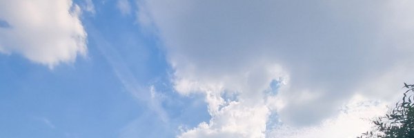 chol7310 Profile Banner