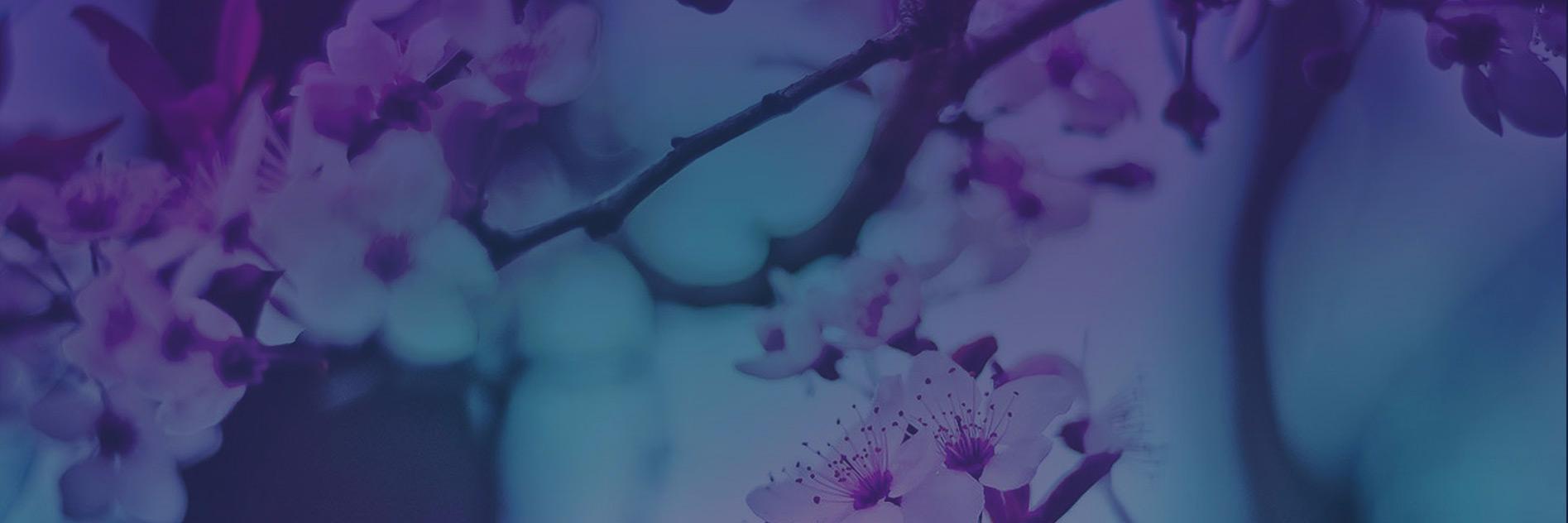 Inpressio's profile banner image
