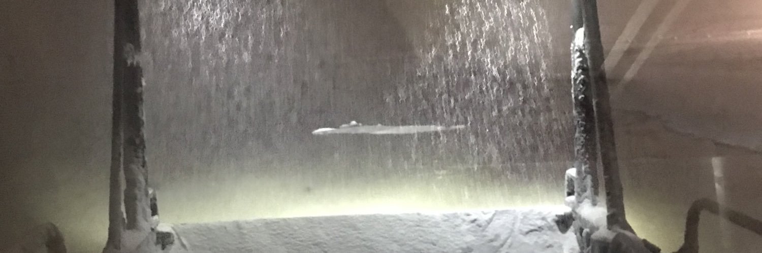 scaba nouvous da lune dally wha banner