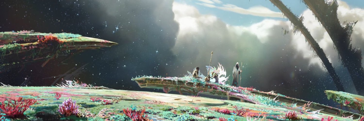 nat's banner