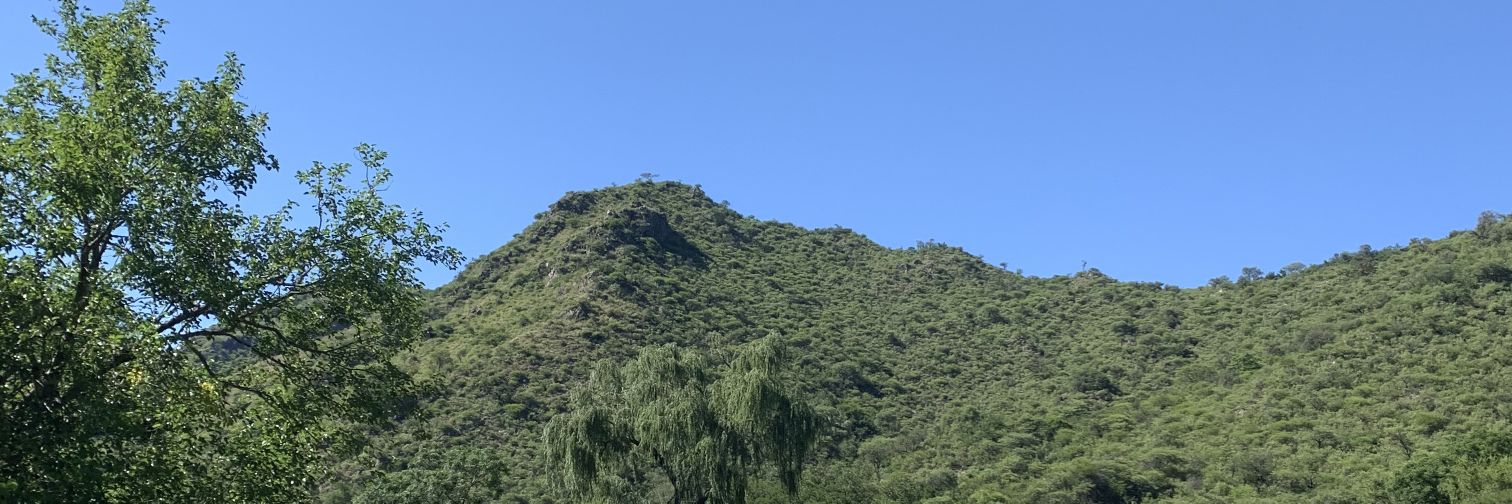 cotysanchez02's profile banner image