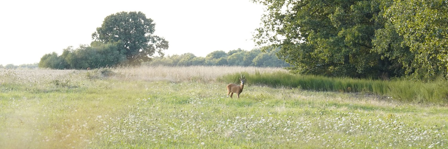 HeleneCorbie's profile banner image