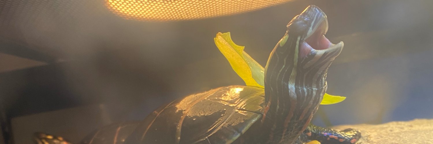 ATon2's profile banner image