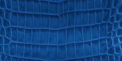 FLGatorSports's profile banner image