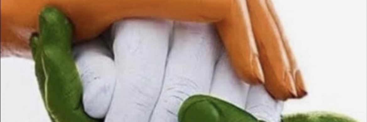 Gauseva banner