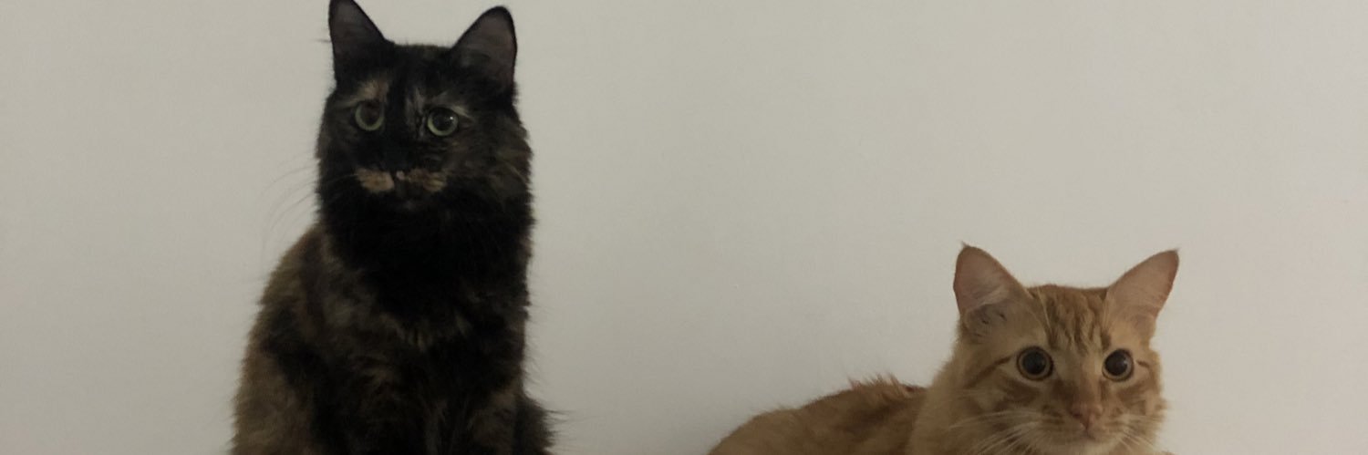 _Gabislima's profile banner image