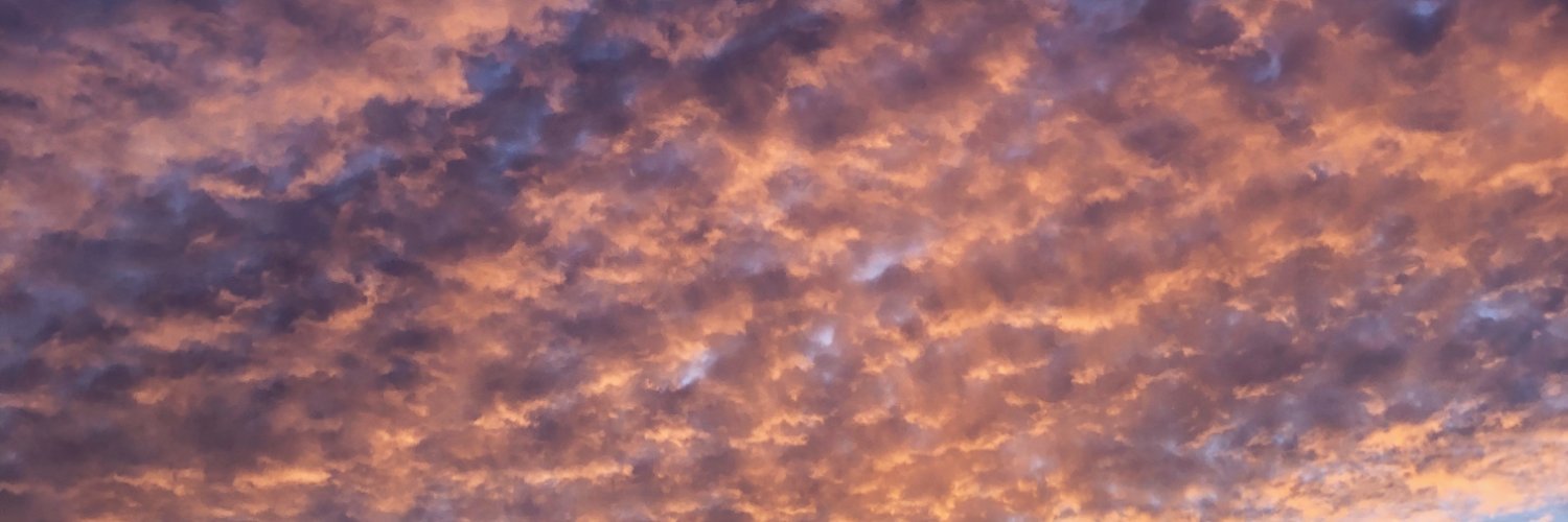 rebeccajobse's profile banner image