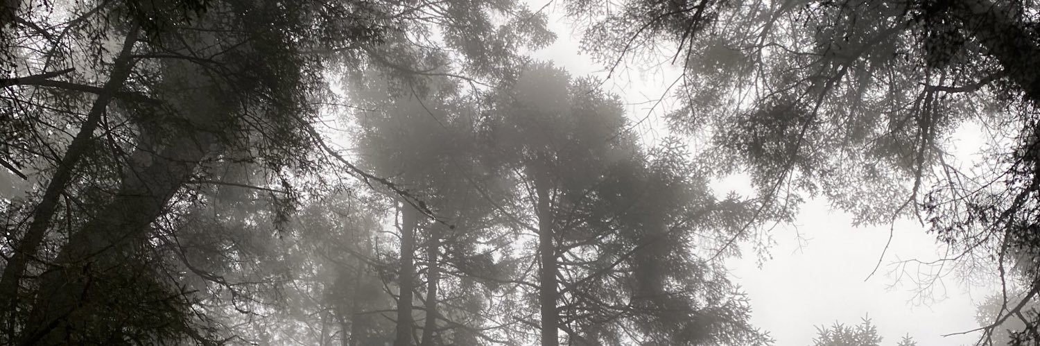 soy_arlett's profile banner image