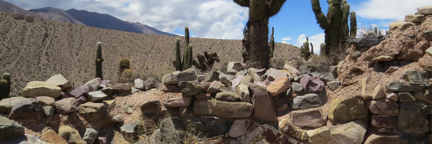 Marcelo L. Magadán banner