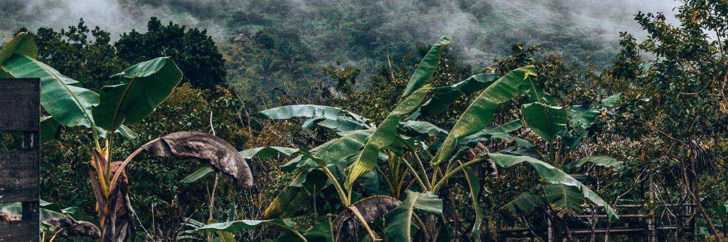 Winy Vásquez banner