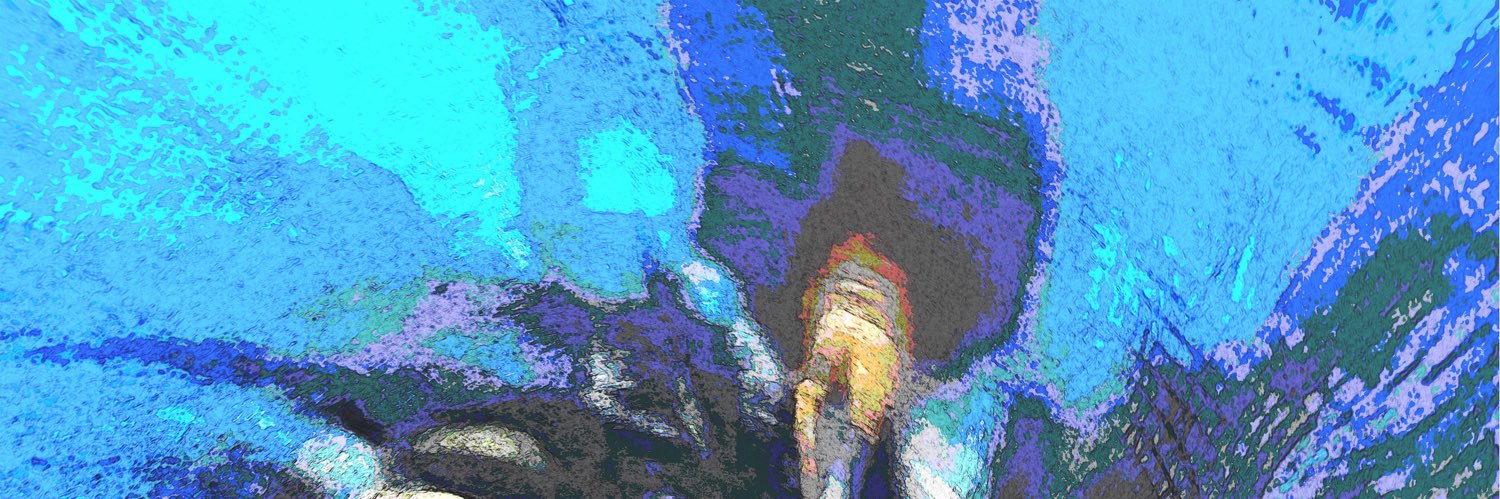 JakeSalter1's profile banner image