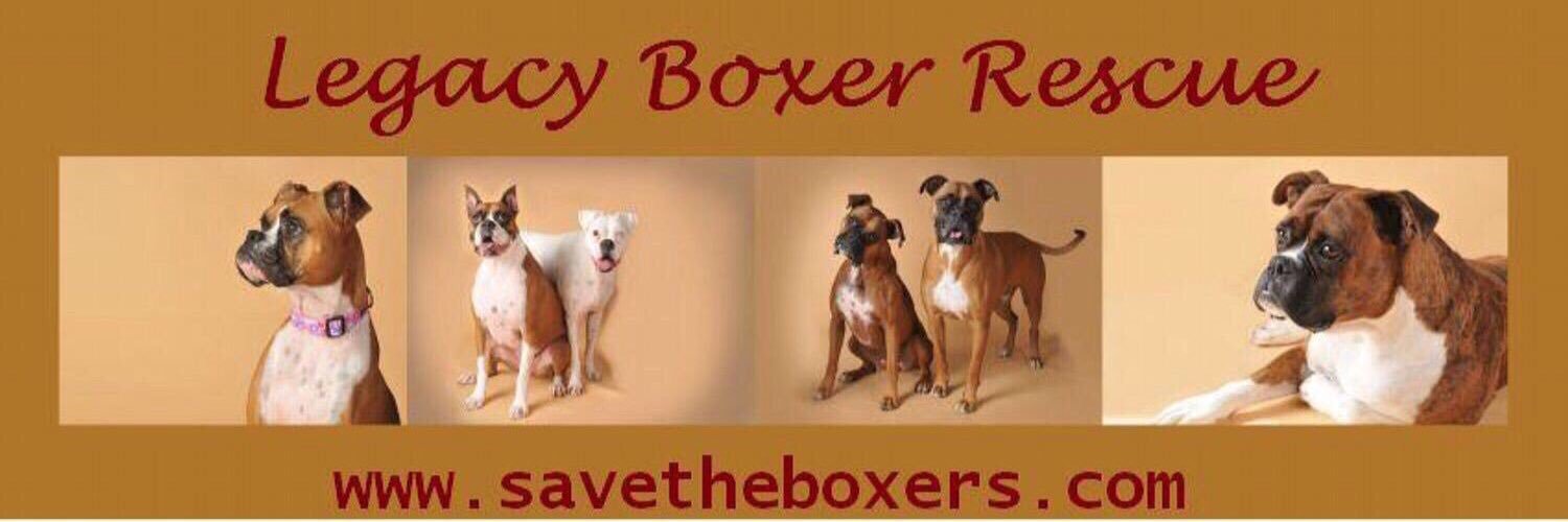 savetheboxers's profile banner image