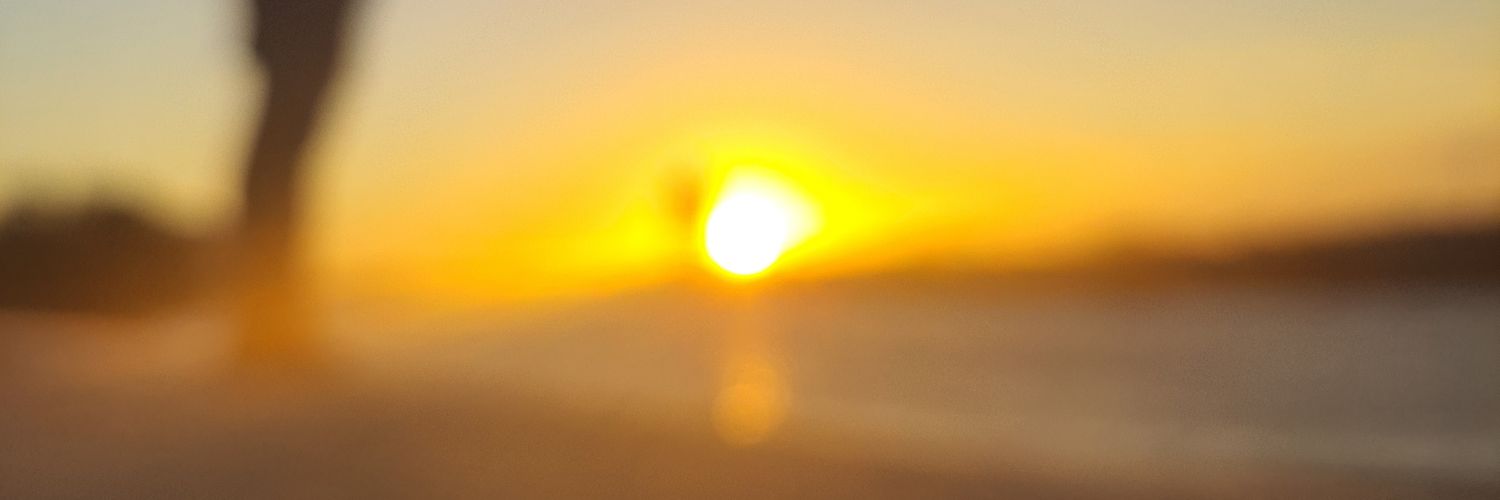 ludonatal's profile banner image