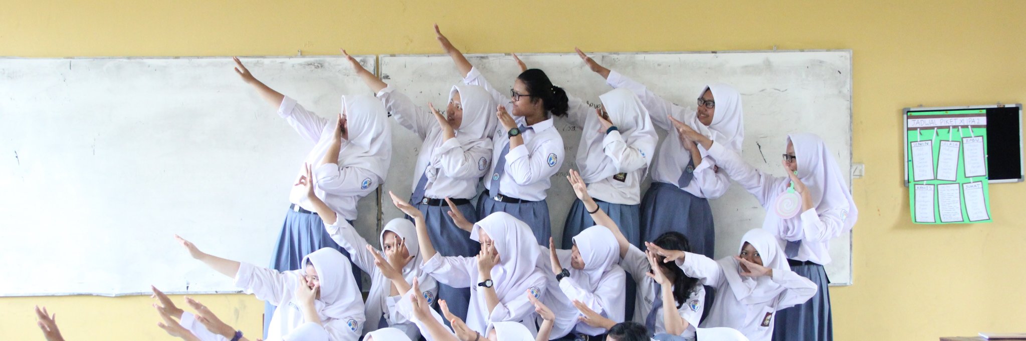 Tanee banner