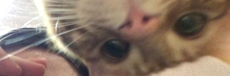 amyjohn_sun's profile banner image