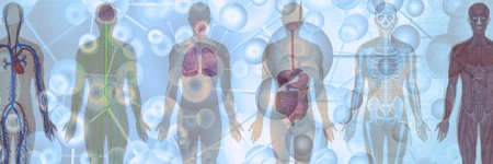 molgenmed's profile banner image