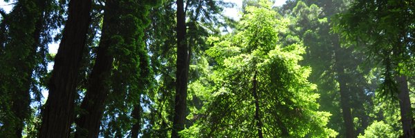 HuangAngkanaT Profile Banner