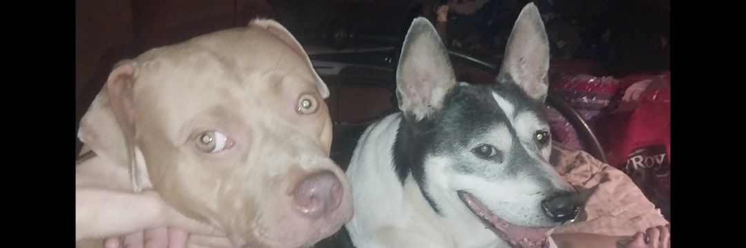 Brandon Pennington banner