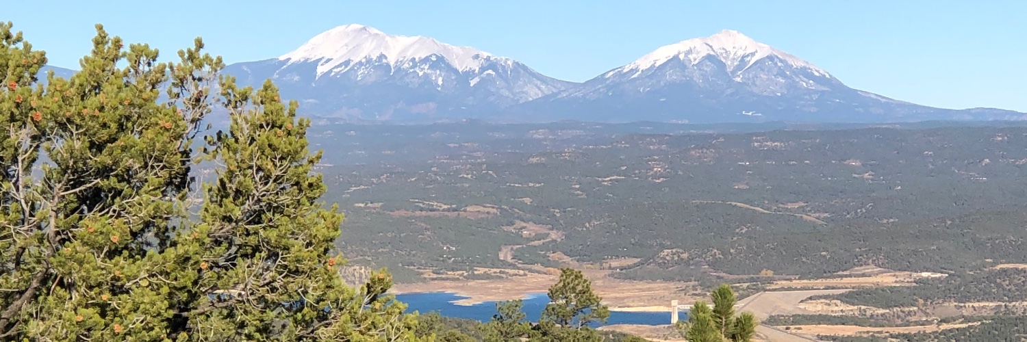 manniefresco's profile banner image