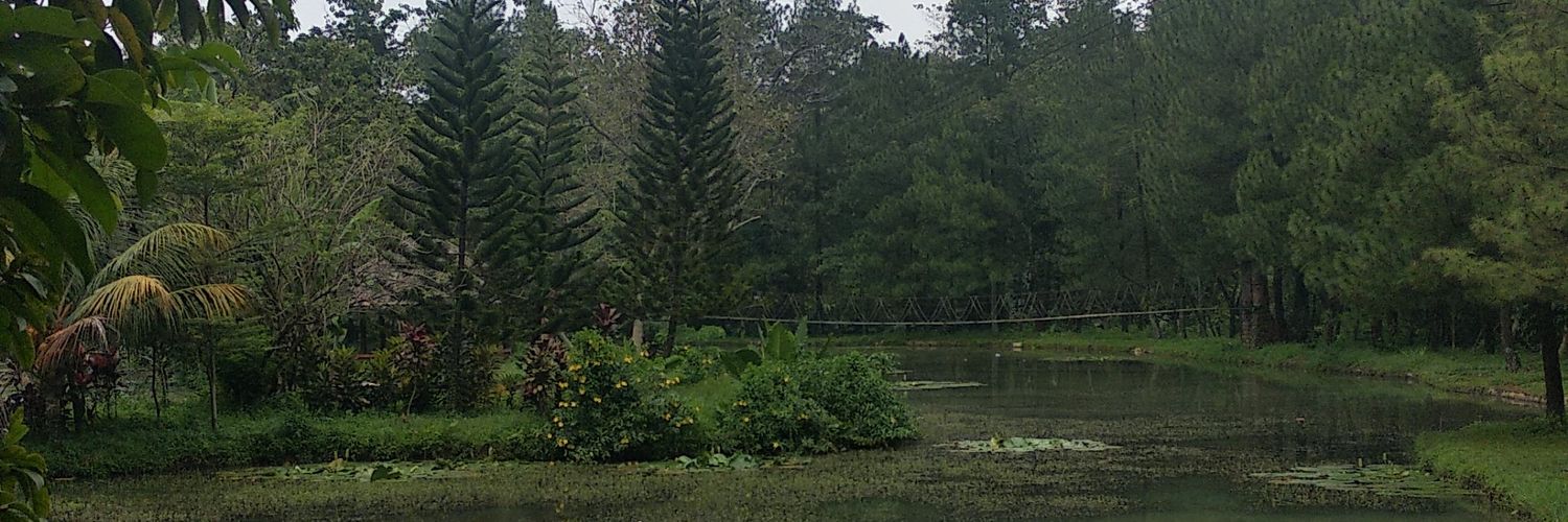 WendYdisini's profile banner image
