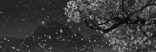 ollii banner