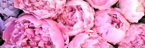 valefenta's profile banner image