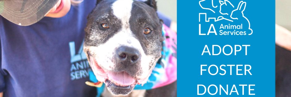 LA Animal Services's banner