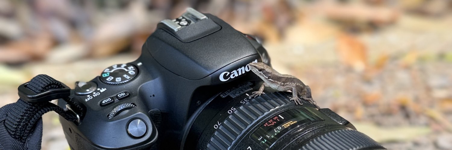SMARTS🦎 banner