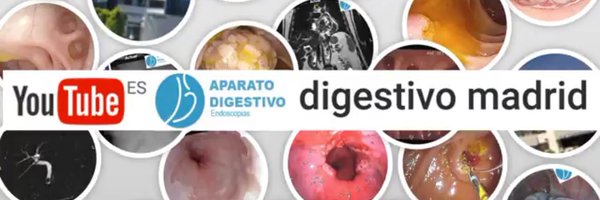 digestivomadHM Profile Banner